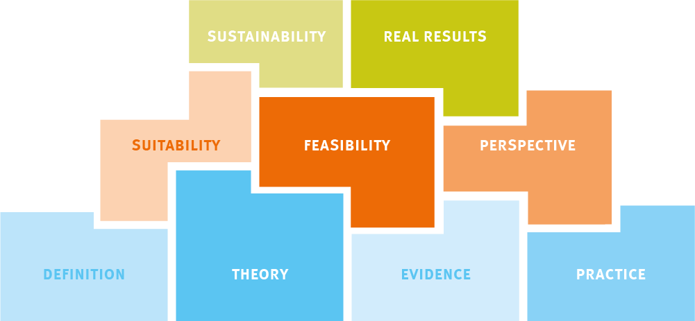 STEPS Decision Making Framework